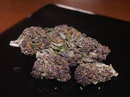 With an 8 to 10 weeks flowering time, this plant produces an. Purple Haze Real Marijuana Store Buy Marijuana Online