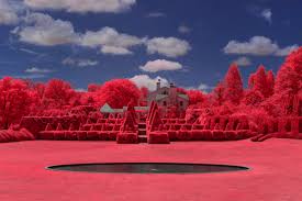 infrared photo walk at ladew topiary