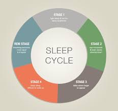 Learn How To Sleep Better By Understanding Sleep Cycles