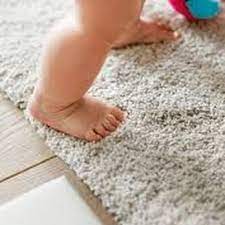 carpet cleaning nyc 52 photos 829