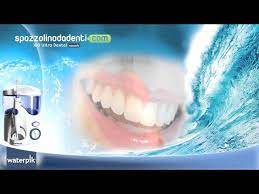 waterpik 100 ultra dental water jet