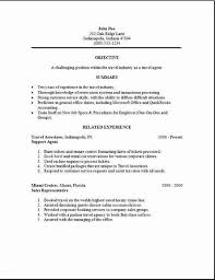 Agent Resume Example Template net 