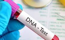 Sh800 and bam, you have DNA results at your home? It's not ...