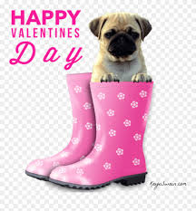 Happy international dog day greetings: Happy Valentines Day Dog Pictures Happy Valentines Day Dog Clipart 3957983 Pinclipart