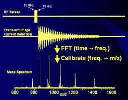Fourier Transform Mass Spectrometry