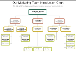 Our Marketing Team Introduction Chart Graphics