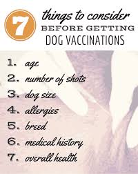 Which Dog Vaccinations Are Necessary Caninejournal Com