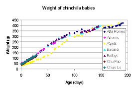 Breeding Chinchillas Development Of The Young Infolific