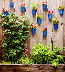 Backyard Tin Can Fence Garden Ciera