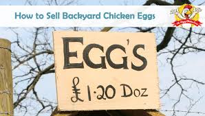 The standard fee for egg donation ranges from $6,000 to $10,000 usd per donation. How To Sell Backyard Chicken Eggs The Happy Chicken Coop
