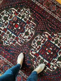 old vine persian carpet with