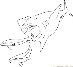 Collection of free printable shark coloring pages (35) shark clipart black and white printable great white shark colouring page Megalodon Shark Coloring Page For Kids Free Shark Printable Coloring Pages Online For Kids Coloringpages101 Com Coloring Pages For Kids