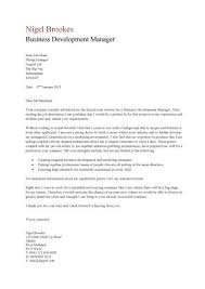 Cover Letter Senior Marketing Business Development Executive     Business Development Manager CV    Business Development Manager cover letter   