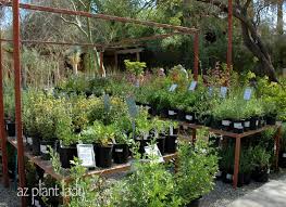How Do You Choose A Plant Nursery