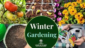 Winter Gardening Ideas And Planning