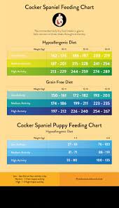 71 Most Popular Cocker Spaniel Weight Chart