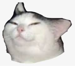 Maybe you would like to learn more about one of these? Cat Meme Png Images Free Transparent Cat Meme Download Kindpng