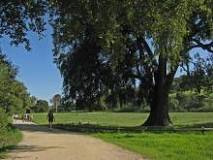 Rancho San Antonio County Park & Open Space Preserve de Cupertino | Horario, Mapa y entradas 1