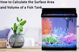surface area and volume of a fish tank