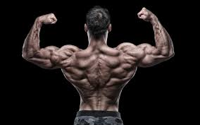 35 best biceps in history muscle