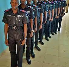 nigeria police force to conclude 2020
