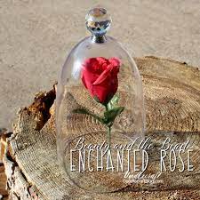 The Beast Enchanted Rose In Cloche Diy