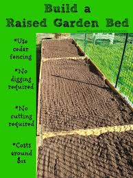 build raised beds from cedar fencing