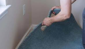 dalworth carpet cleaning services in