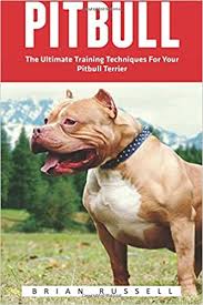 Die antwoord — pitbull terrier 03:41. Pitbull The Ultimate Training Techniques For Your Pitbull Terrier Pitbull Dog Pitbull Breeding How To Train Your Dog Amazon De Russell Brian Fremdsprachige Bucher