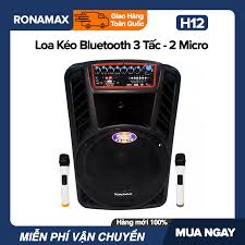 Loa Kéo Karaoke Di Động Bluetooth Ronamax H12 (300W) - 3 Tấc , 2 Mic Đi  Kèm, Vỏ Nhựa ABS - Bảo Hành 6 Tháng