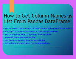 pandas get column names from dataframe