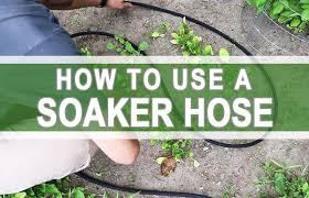 How To Use A Soaker Hose Irrigation