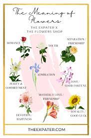 Check spelling or type a new query. The Meaning Of Flowers Flower Symbolism In Different Countries