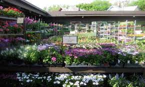 Farmers Market Garden Center