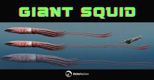 giant squid uses s for hunting
