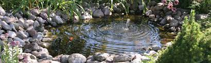 fibregl ponds bermuda water gardens