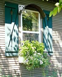 window box flowers for shade