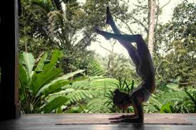 yoga and tation bali eco stay