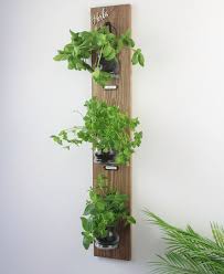 Wall Hanging Herb Garden With Rustic
