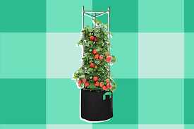 the 12 best tomato cages of 2023