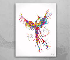 phoenix bird watercolor bird print