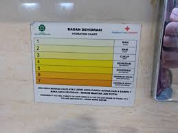 This Urinal Has A Hydration Chart Mildlyinteresting