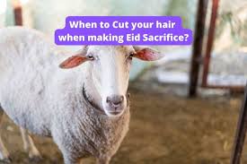 cut your hair on eid ul adha