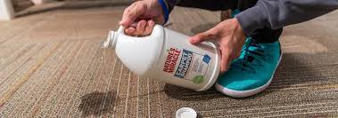 5 best carpet cleaning solutions apr