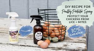 diy recipe poultry protector spray to
