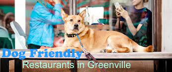 dog friendly restaurants in greenville sc