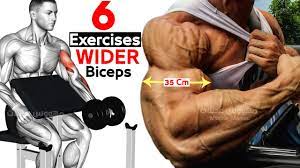 6 exercises for wider biceps effective
