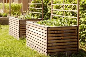 9 Terrace Garden Ideas To Add Greenery