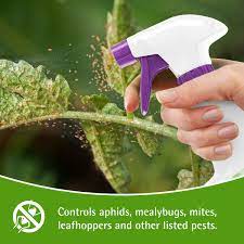 garden safe insecticidal soap 32 fl oz