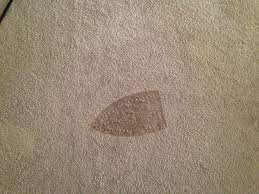 repairing a burn mark on carpet